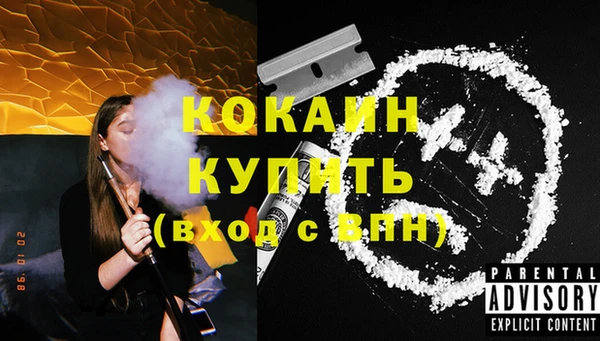 дживик Володарск