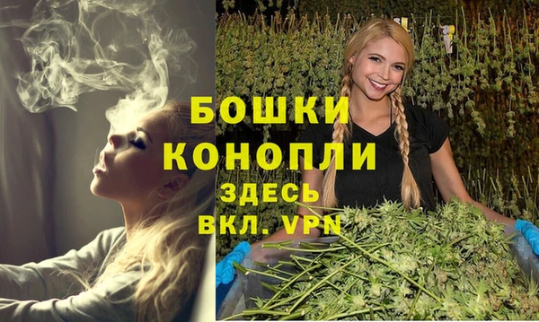 прущие грибы Вязьма