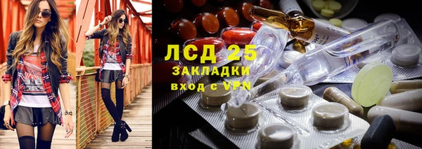 дживик Володарск