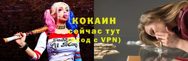 дживик Володарск